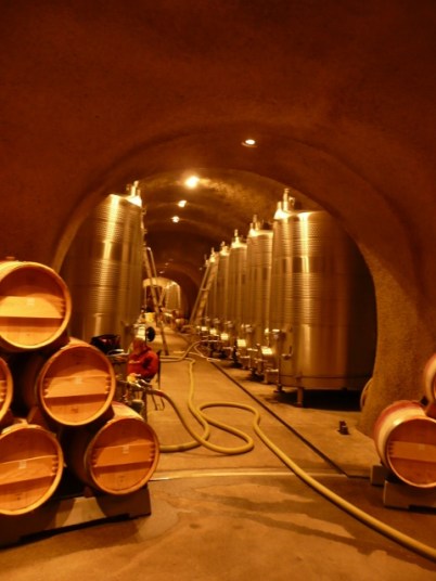 FarNiente1 (480x640)