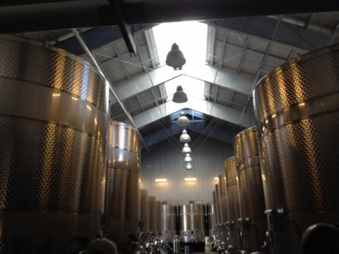 SilverOak12 (640x480)